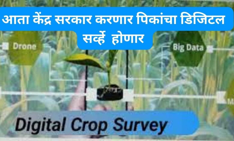 Digital Crop Survey