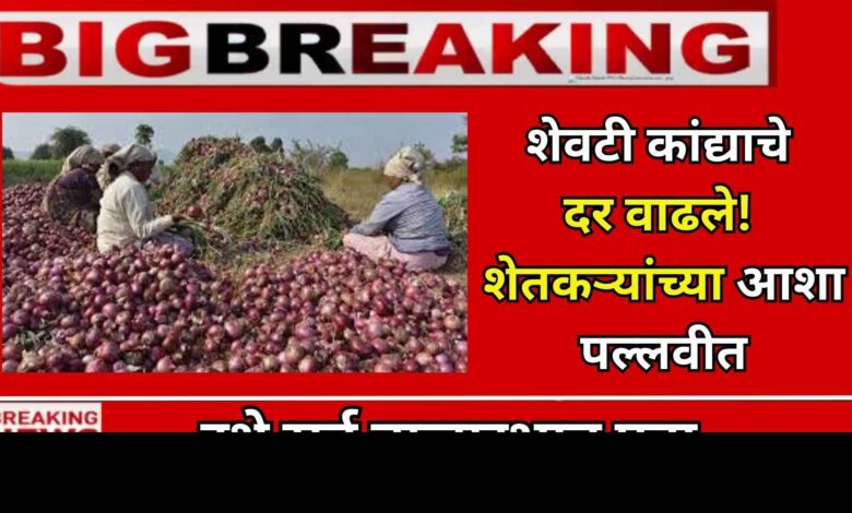 Onion Rate Maharashtra